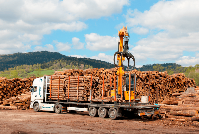 La venta de madera requiere una gestión profesional que asegure la calidad del producto y su adecuada clasificación. Seleccionamos y preparamos la madera según su destino —industrial, estructural o energético— garantizando que cada lote cumple los estándares exigidos por el mercado. Trabajamos con proveedores de confianza y realizamos controles de calidad para ofrecer materiales resistentes, sostenibles y con trazabilidad certificada.