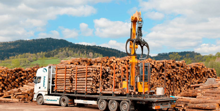 La venta de madera requiere una gestión profesional que asegure la calidad del producto y su adecuada clasificación. Seleccionamos y preparamos la madera según su destino —industrial, estructural o energético— garantizando que cada lote cumple los estándares exigidos por el mercado. Trabajamos con proveedores de confianza y realizamos controles de calidad para ofrecer materiales resistentes, sostenibles y con trazabilidad certificada.