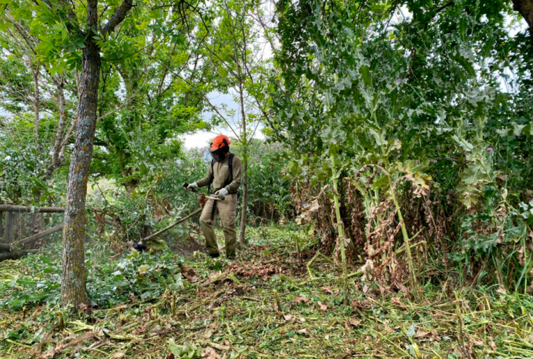 Los desbroces consisten en la limpieza y retirada de matorral, maleza y vegetación sobrante para mantener fincas, montes y parcelas en buen estado. Este trabajo mejora la seguridad, reduce el riesgo de incendios y facilita el acceso y uso del terreno. Contamos con maquinaria especializada y personal cualificado para realizar desbroces rápidos, eficientes y adaptados a cualquier tipo de superficie.